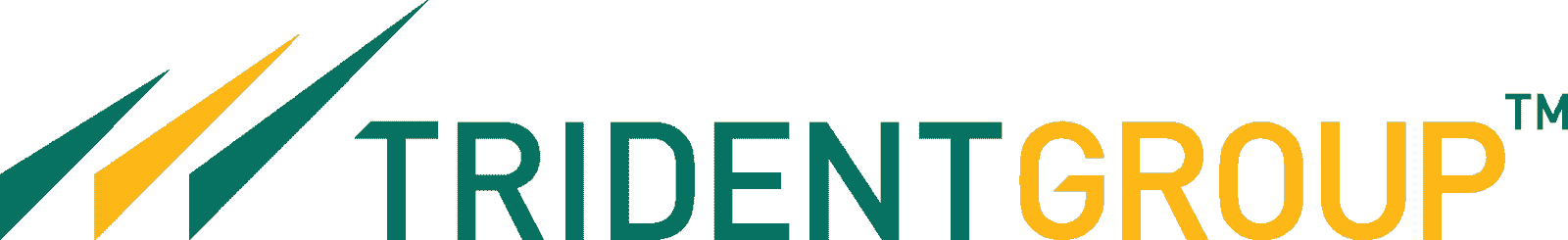 Trident Group Logo